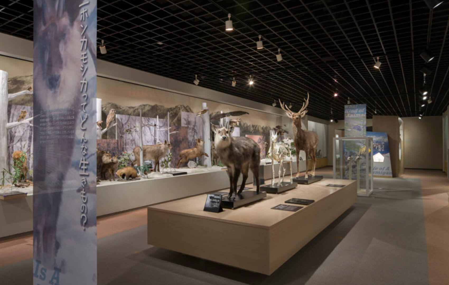Omachi Alpine Museum